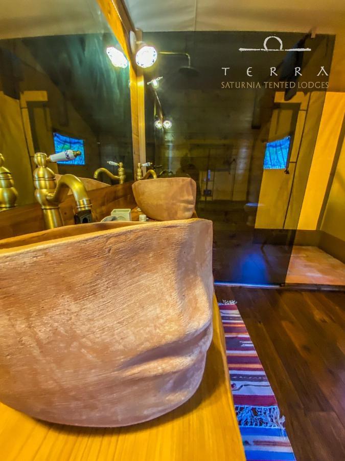 Terra - Tented Saturnia